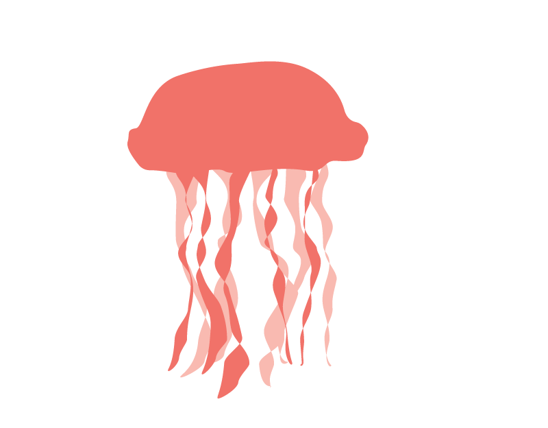 Jellyfish